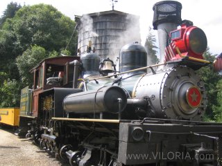 Train at Roaring Camp