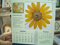 flower calendar